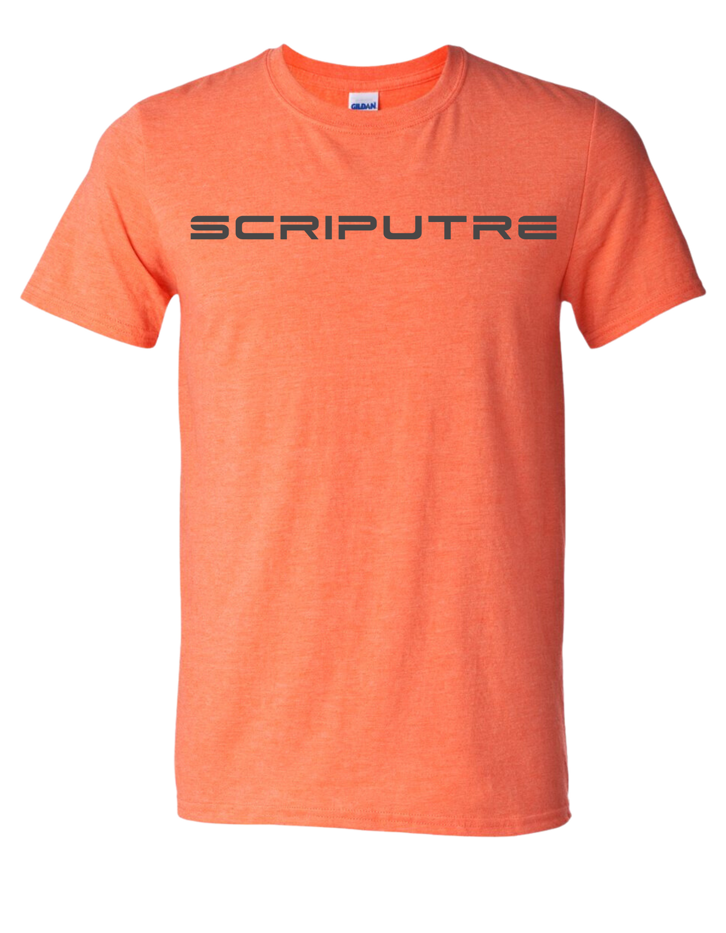 Scripture Premium Tee