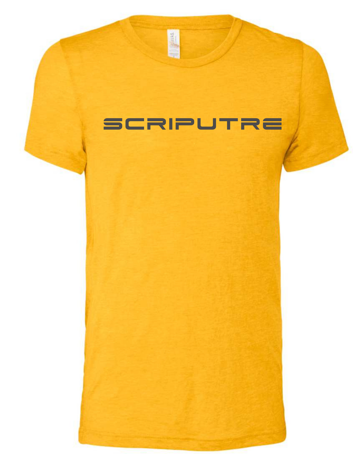 Scripture Premium Tee